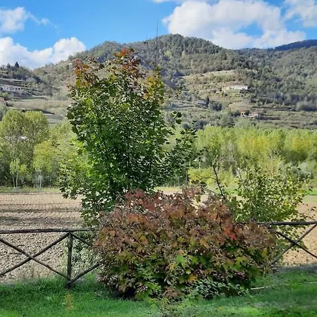 In Langa *